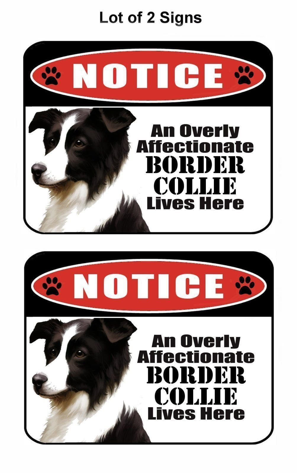 Notice an Overly Affectionate Border Collie Lives Here 9 inch x 11.5 inch Laminated Dog Sign - 2 Pack