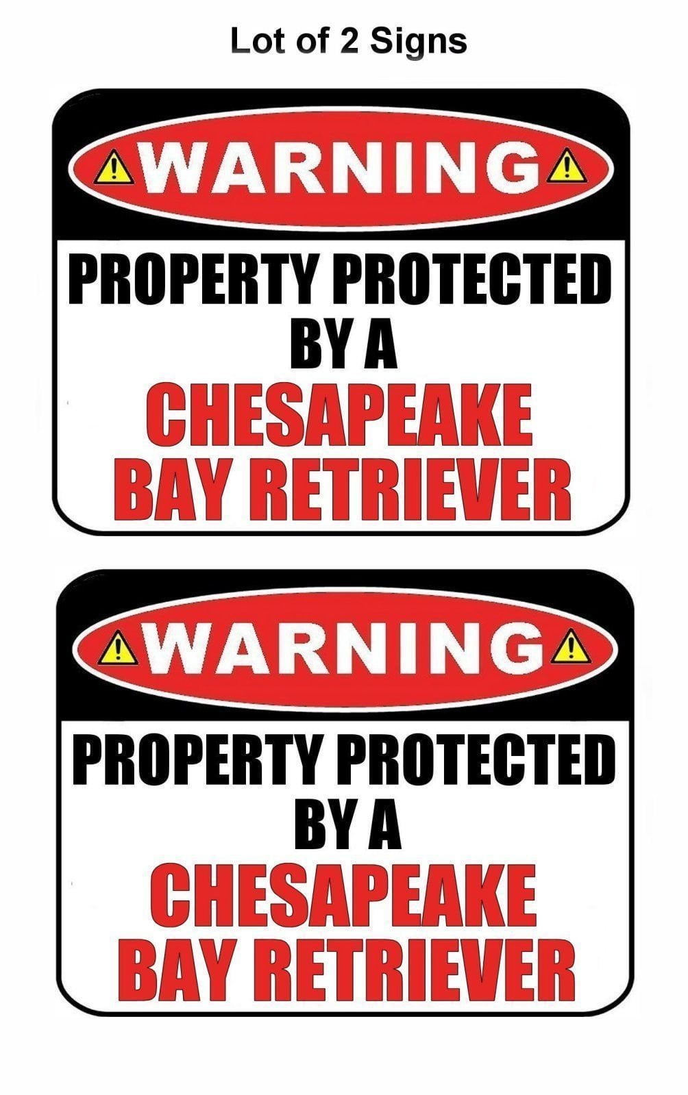 2-Count Warning Property Protected by a Chesapeake Bay Retriever 9 inch x 11.5 inch Laminated Dog Sign