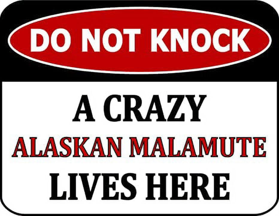 Do Not Knock A Crazy Alaskan Malamute Lives Here 11.5 inch by 9 inch Laminated Dog Sign