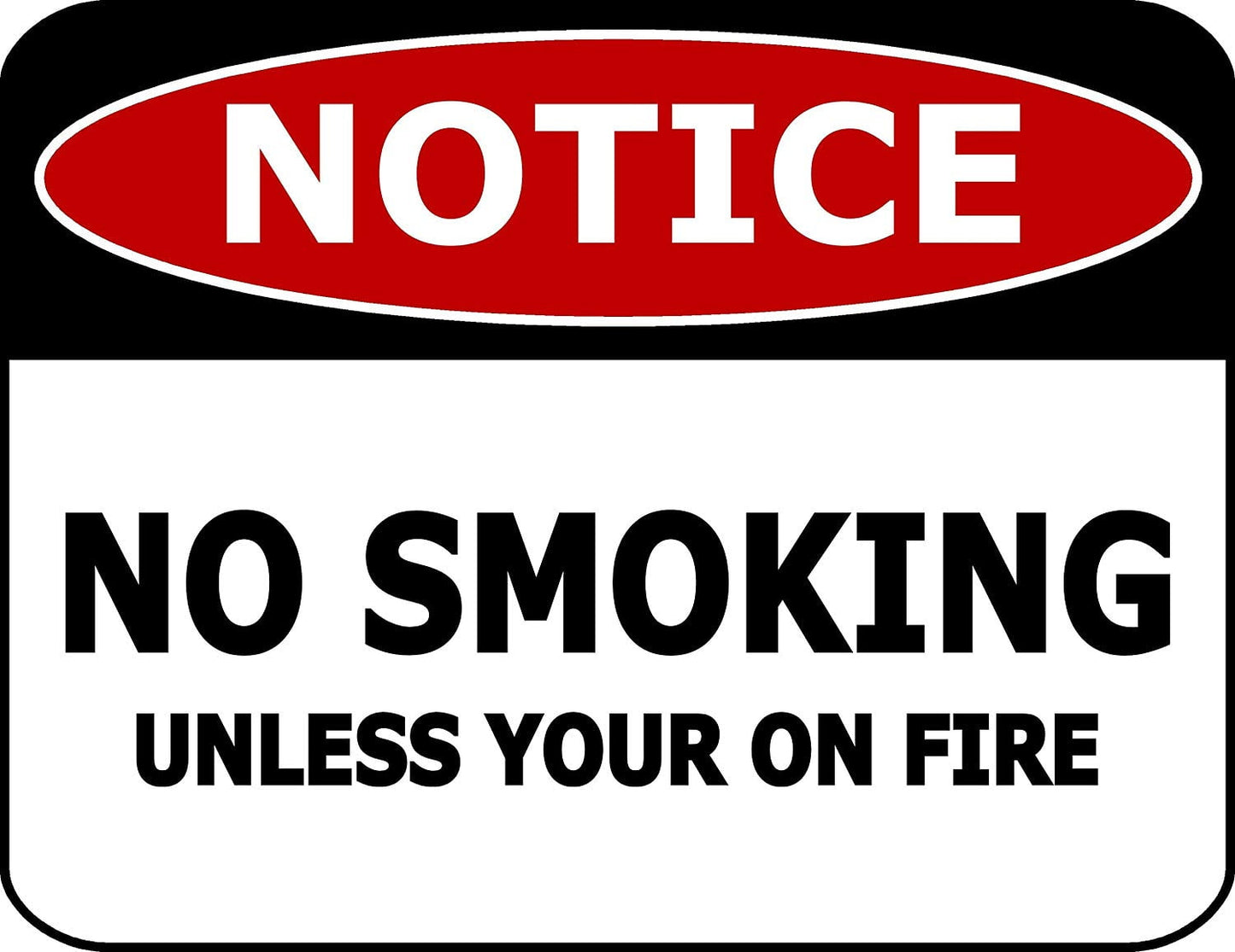 Notice No Smoking Unless Your On Fire 11.5" x 9" Laminated Business Sign