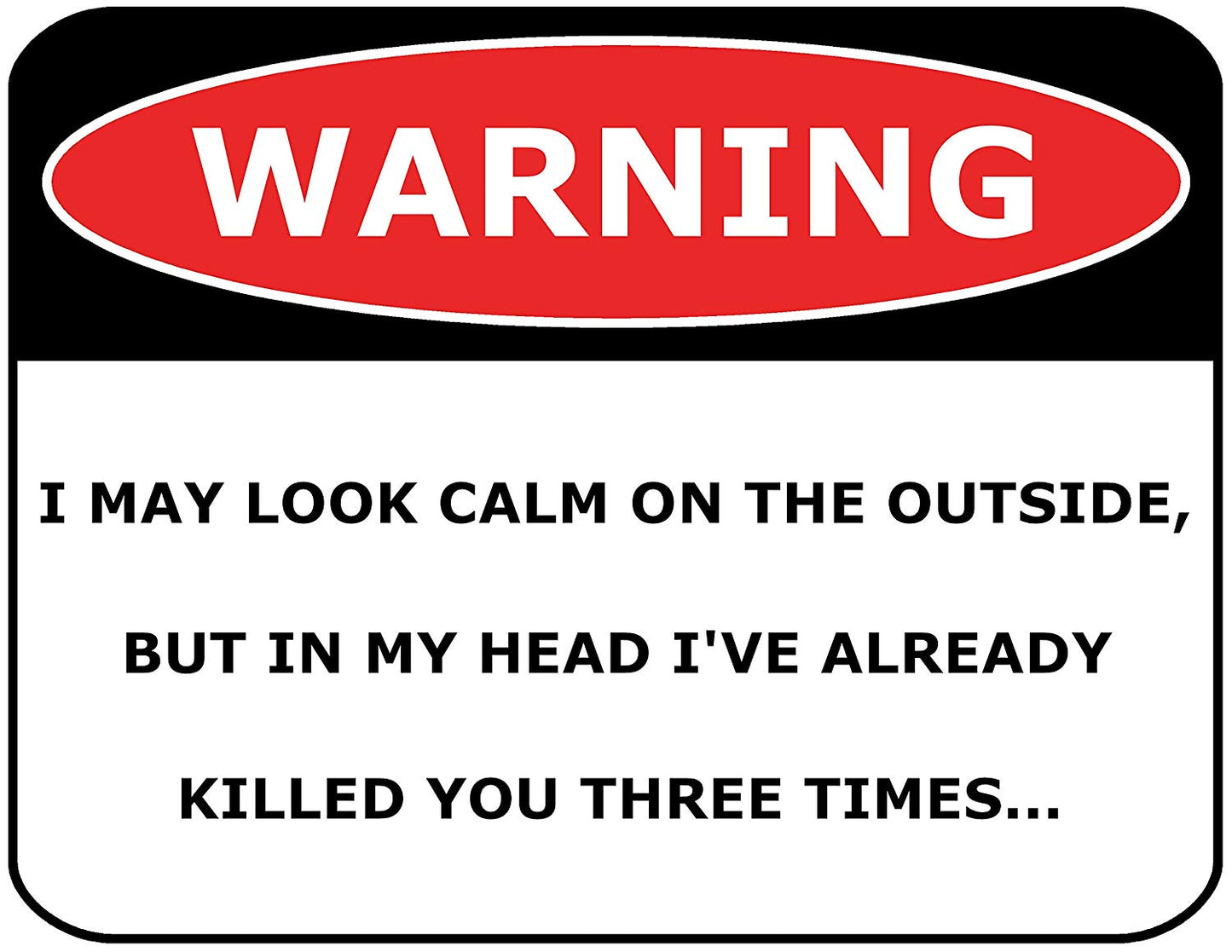 Warning I May Look Calm On The Outsite, But In My Head I've Killed You 3 Times 11.5" x 9" Laminated Funny Sign