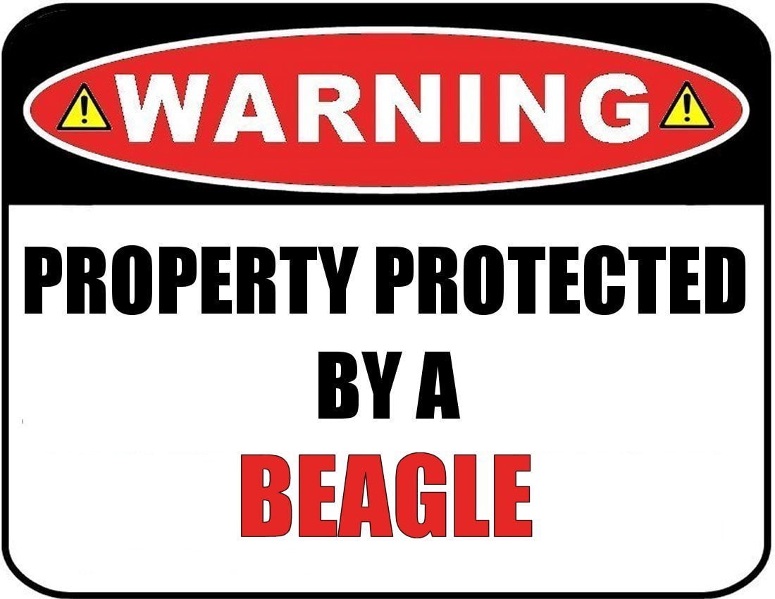 Warning Property Protected by a Beagle 9 inch x 11.5 inch Laminated Dog Sign