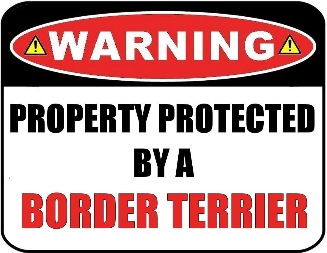 Warning Property Protected by a Border Terrier 9 inch x 11.5 inch Laminated Dog Sign