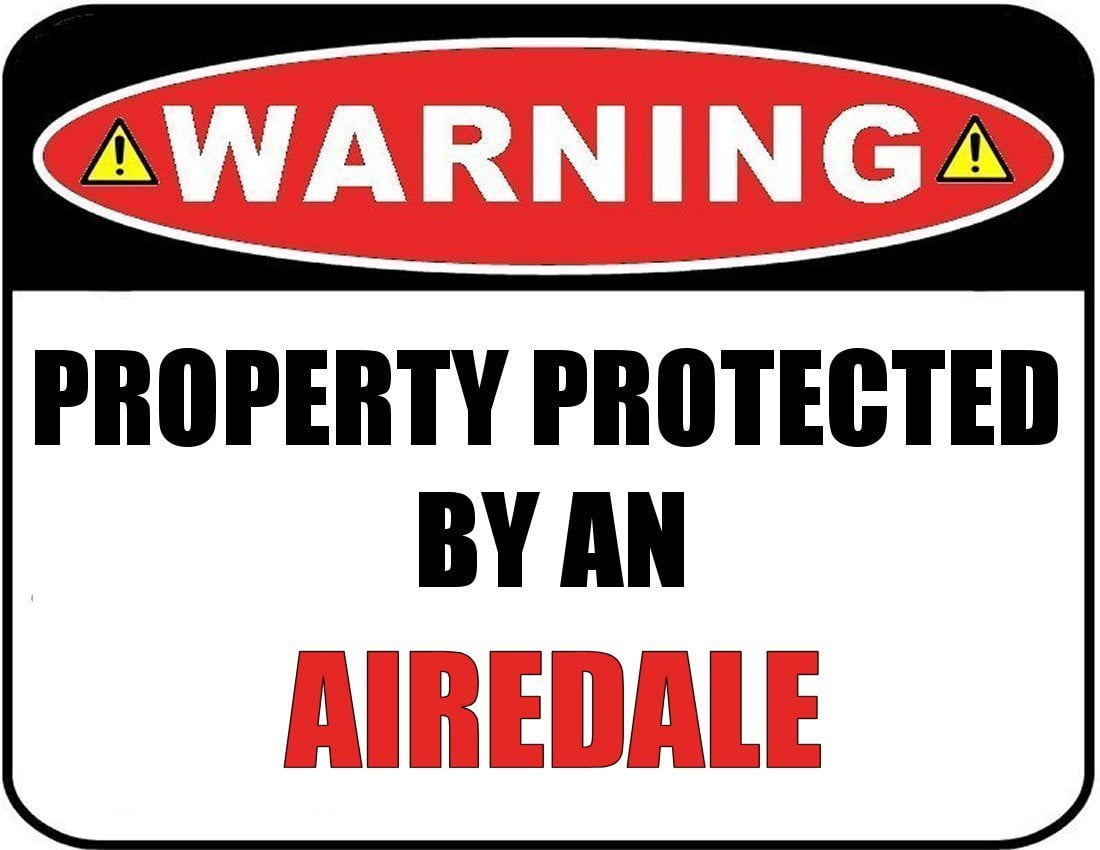 Warning Property Protected by a Papillon 9 inch x 11.5 inch Laminated Dog Sign
