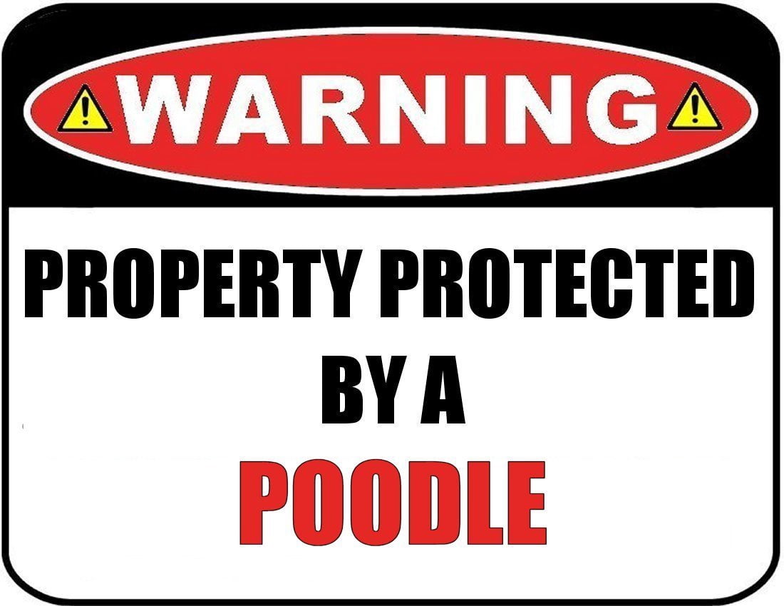 Warning Property Protected by a Poodle 9 inch x 11.5 inch Laminated Dog Sign