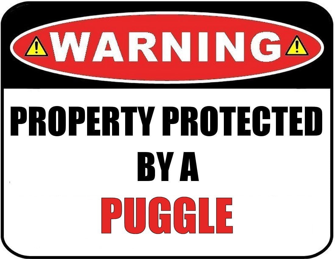 Warning Property Protected by a Puggle 9 inch x 11.5 inch Laminated Dog Sign