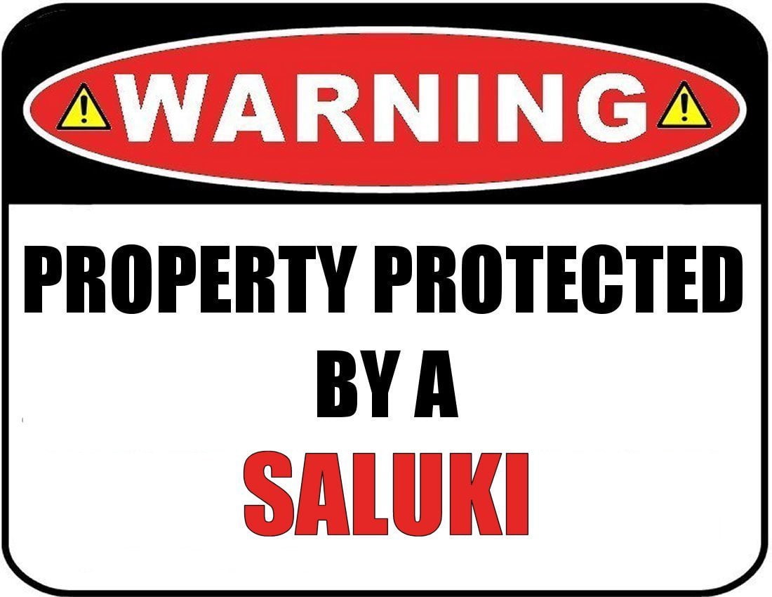 Warning Property Protected by a Saluki 9 inch x 11.5 inch Laminated Dog Sign