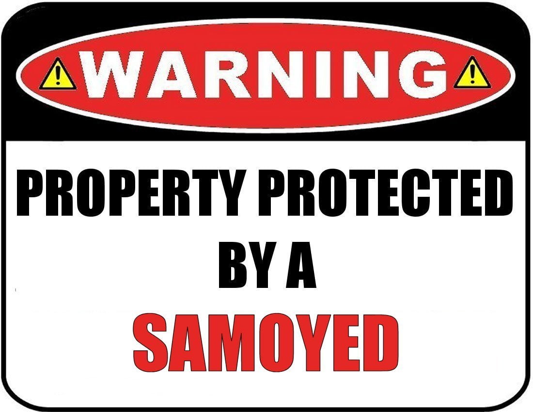 Warning Property Protected by a Samoyed 9 inch x 11.5 inch Laminated Dog Sign
