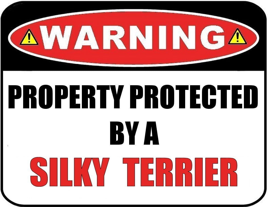 Warning Property Protected by a Silky Terrier 9 inch x 11.5 inch Laminated Dog Sign