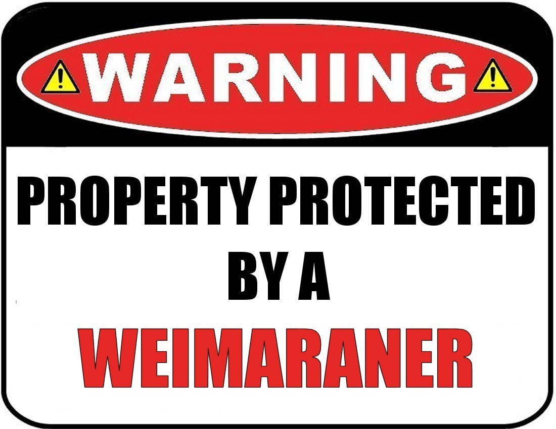 Warning Property Protected by a Weimaraner 9 inch x 11.5 inch Laminated Dog Sign