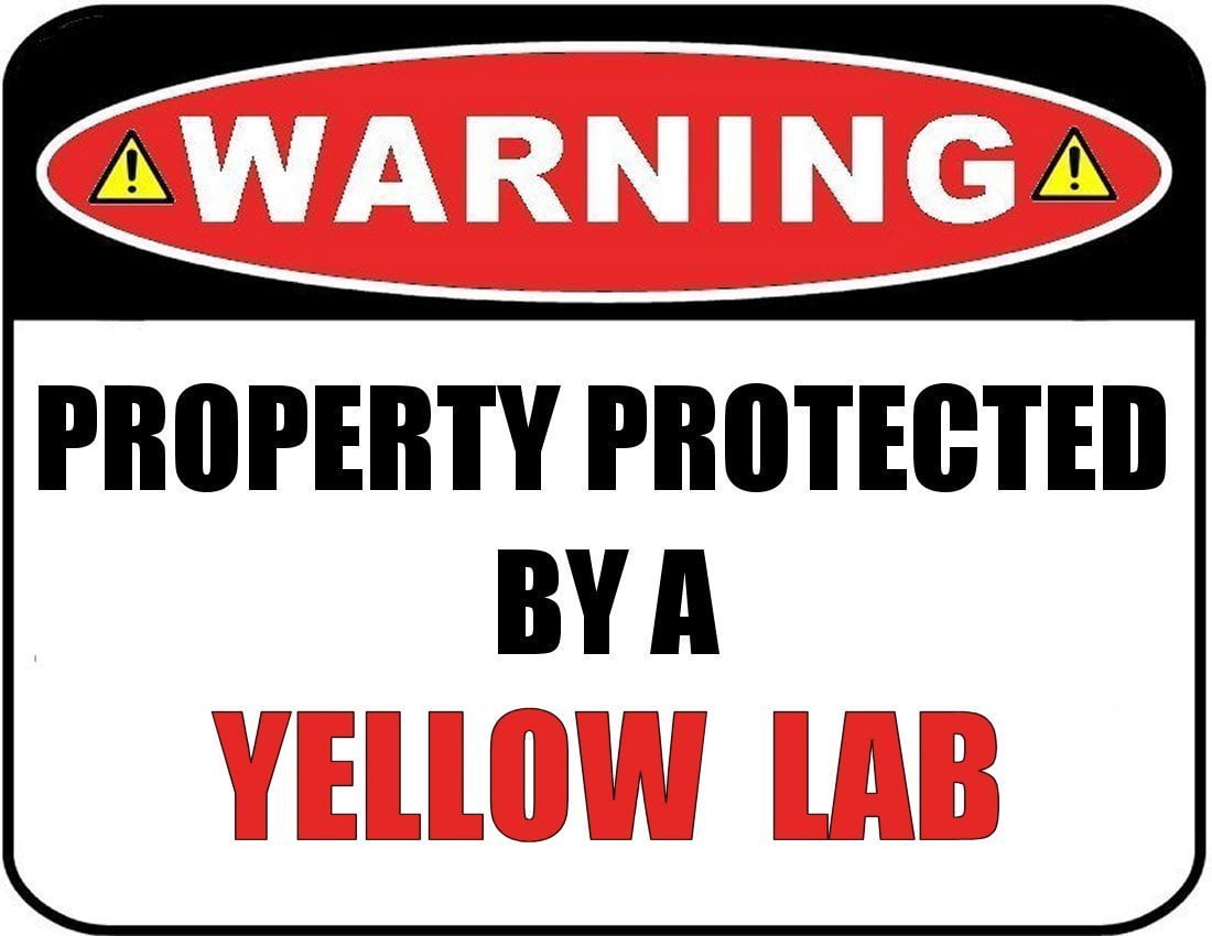 Warning Property Protected by a Yellow Lab 9 inch x 11.5 inch Laminated Dog Sign