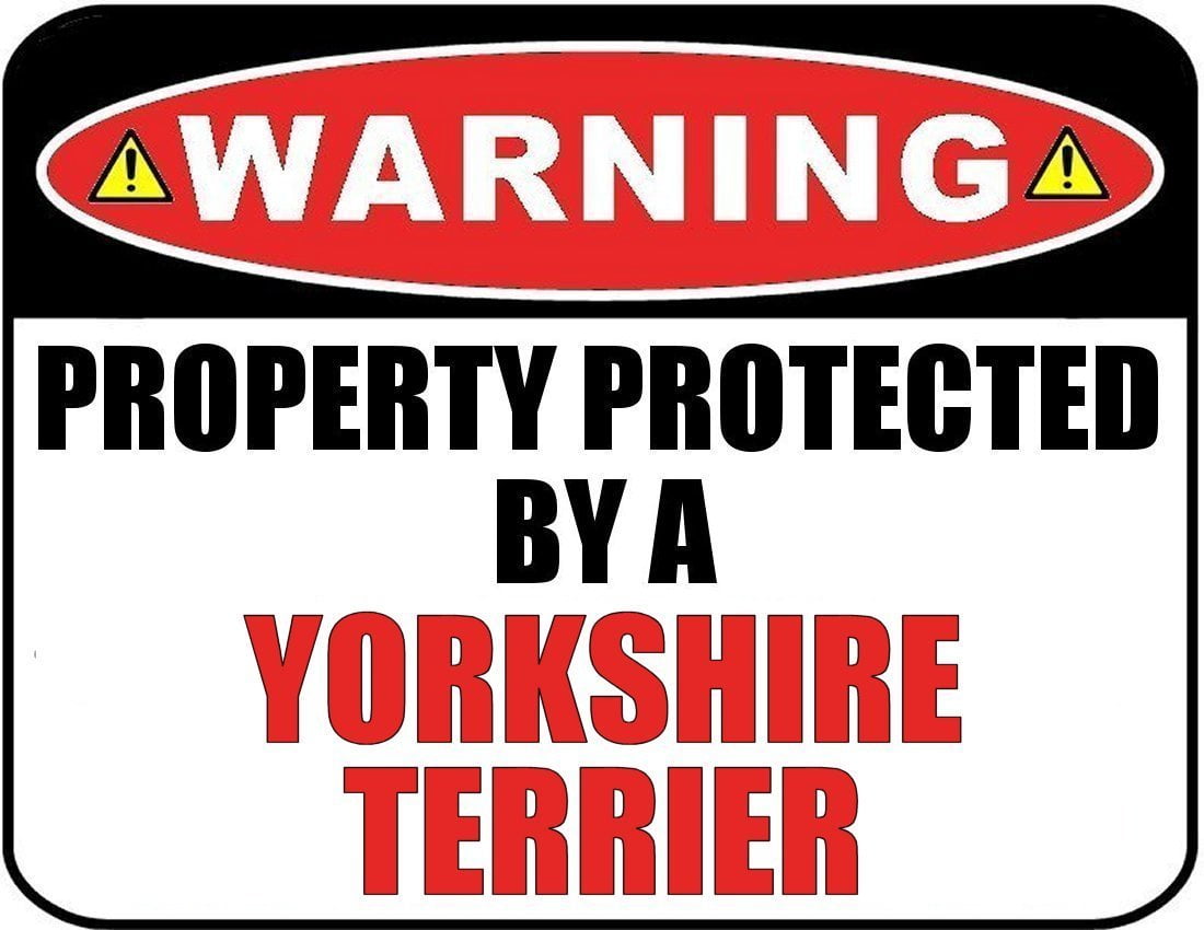 Warning Property Protected by a Yorkshire Terrier 9 inch x 11.5 inch Laminated Dog Sign