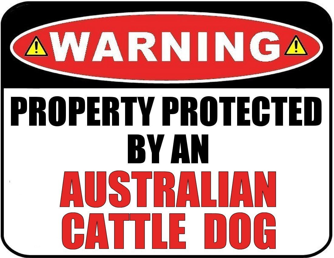 Warning Property Protected by an Australian Cattle Dog 9 inch x 11.5 inch Laminated Dog Sign