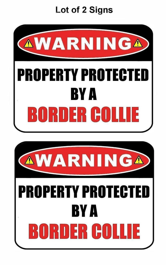 2-Count Warning Property Protected by a Border Collie 9 inch x 11.5 inch Laminated Dog Sign