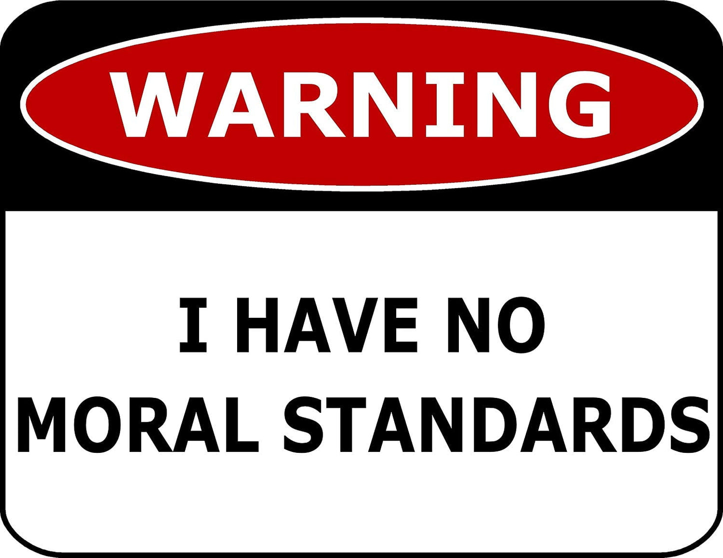 Warning I Have No Moral Standards 11.5" x 9" Laminated Funny Sign