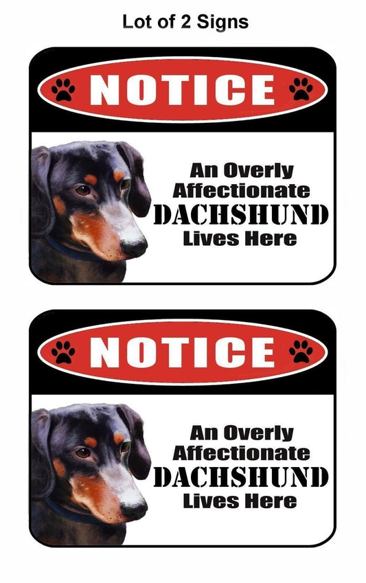 Notice an Overly Affectionate Dachshund Lives Here 9 inch x 11.5 inch Laminated Dog Sign - 2 Pack