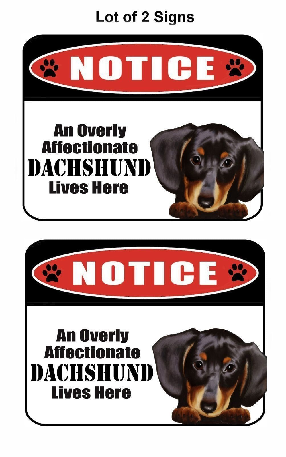 2-Count Notice an Overly Affectionate Dachshund (v2) Lives Here 9 inch x 11.5 inch Laminated Dog Sign