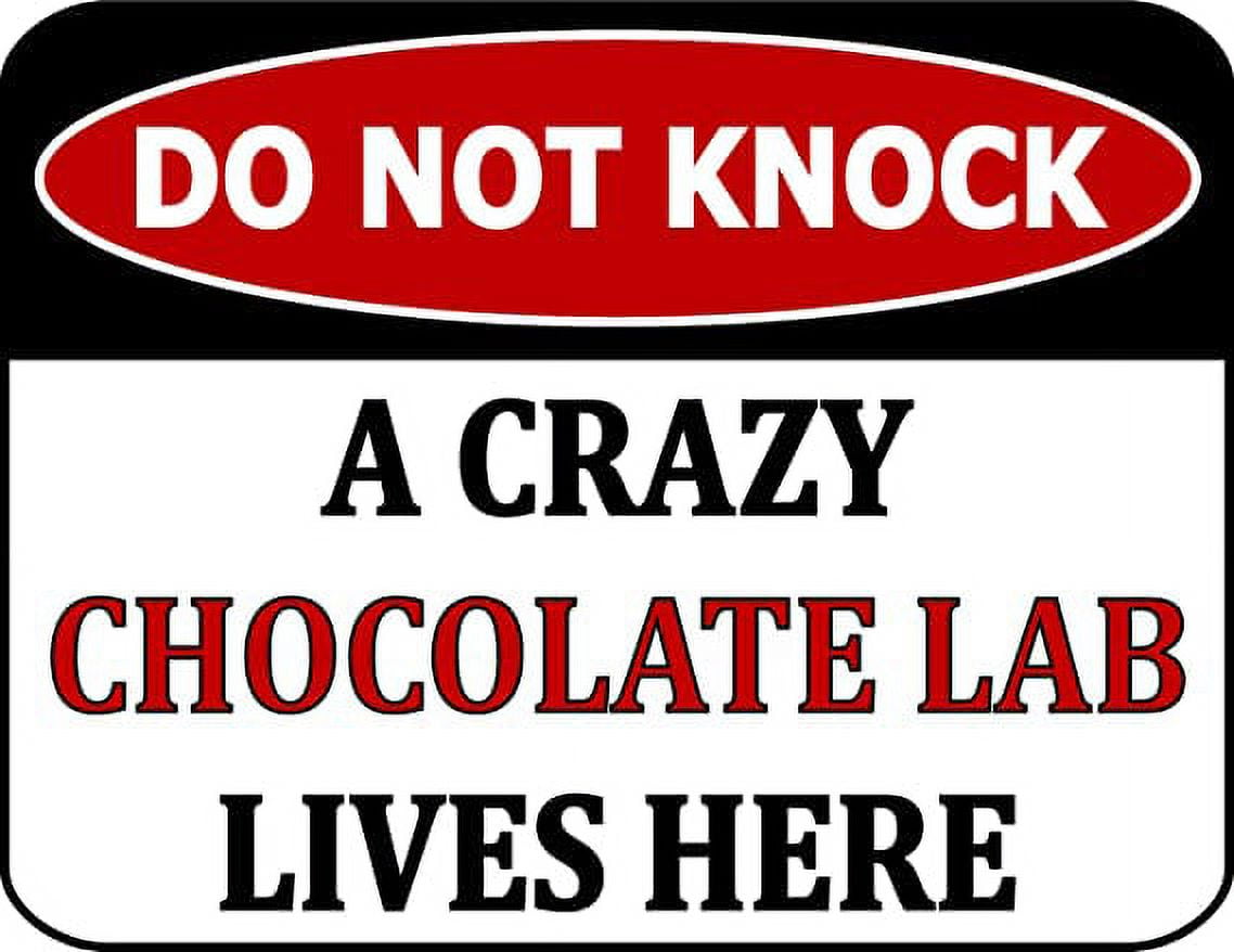 Do Not Knock A Crazy Chocolate Lab Lives Here 11.5 inch by 9 inch Laminated Dog Sign