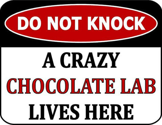 Do Not Knock A Crazy Chocolate Lab Lives Here 11.5 inch by 9 inch Laminated Dog Sign