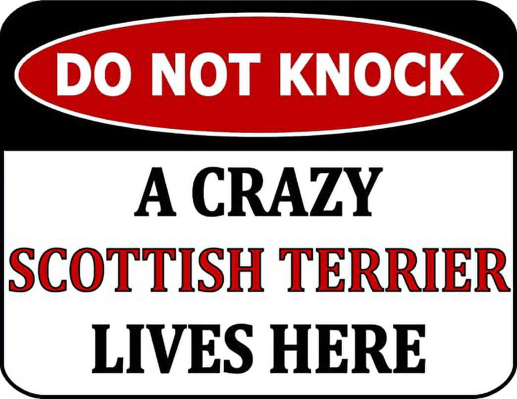 Do Not Knock A Crazy Scottish Terrier Lives Here 11.5 inch by 9 inch Laminated Dog Sign