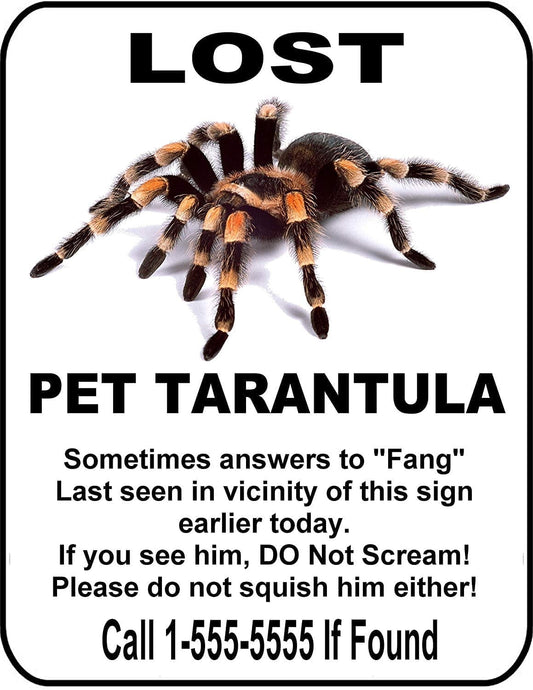 Lost Pet Tarantula 9 inch by 11.5 inch Laminated Sign