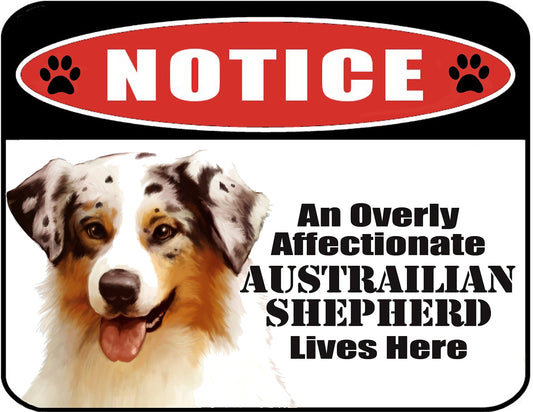 Notice an Overly Affectionate Australian Shepherd Lives Here 9 inch x 11.5 inch Laminated Dog Sign