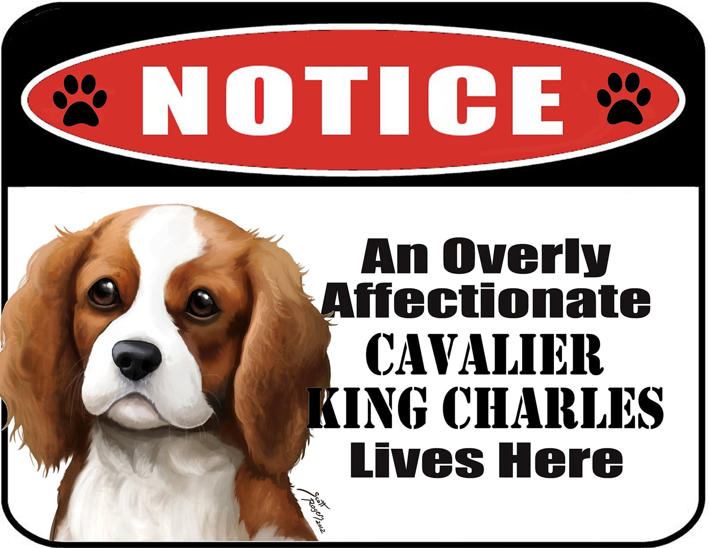 Notice an Overly Affectionate Cavalier King Charles Lives Here 9 inch x 11.5 inch Laminated Dog Sign