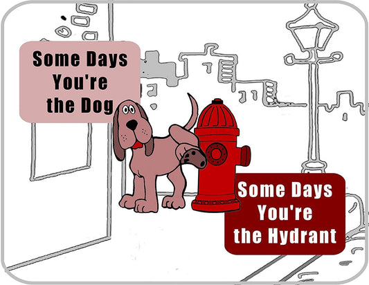 Some Days You're the Dog, Some Days You`re the Hydrant (B & W) 11.5" x 9" Laminated Funny Sign