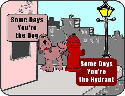 Some Days You're the Dog, Some Days You`re the Hydrant (Color) 11.5" x 9" Laminated Funny Sign