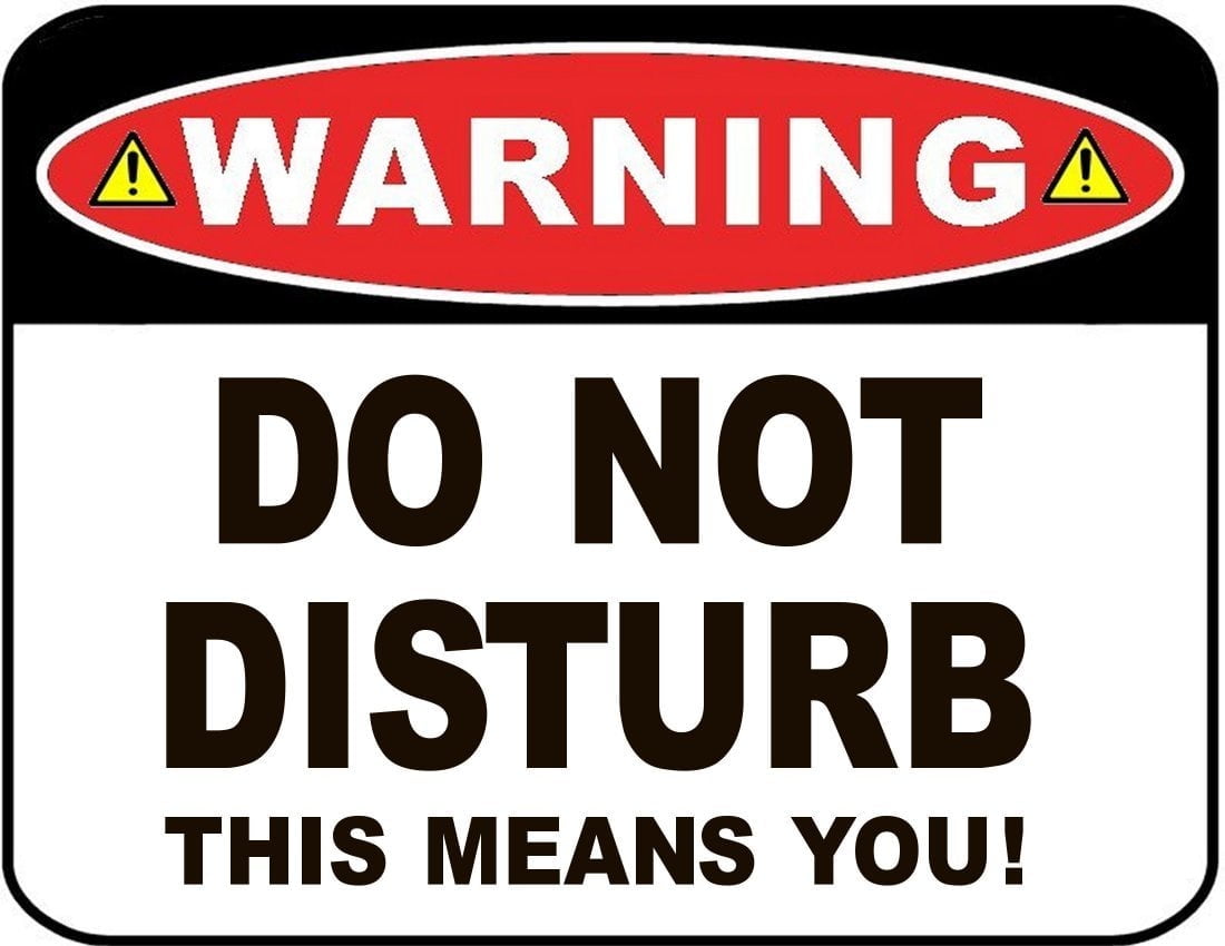 Warning Do Not Disturb This Means You! 11.5" x 9" Laminated Funny Sign