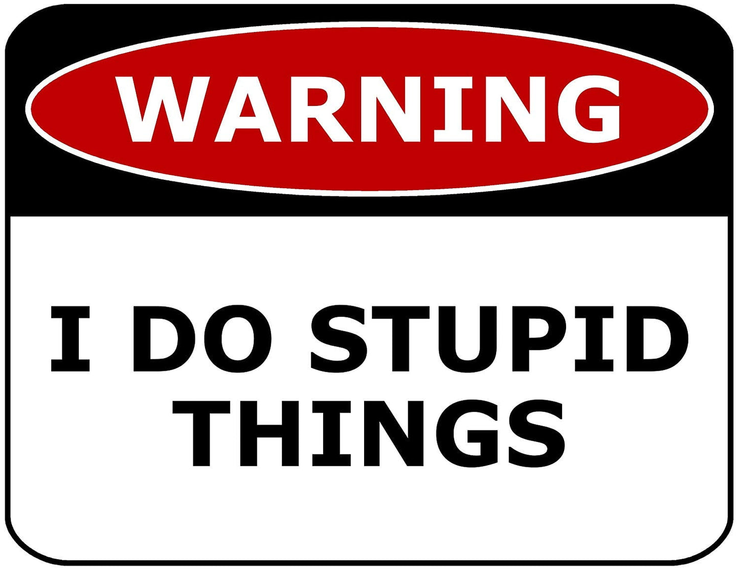 Warning I Do Stupid Things 11.5" x 9" Laminated Funny Sign
