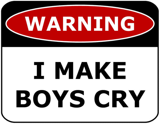 Warning I Make Boys Cry 11.5" x 9" Laminated Funny Sign