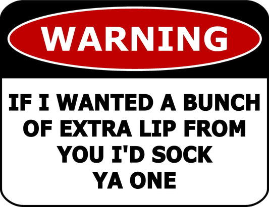 Warning If I Wanted A Bunch Of Extra Lip From You I'd Sock Ya One 11.5 inch by 9 inch Laminated Funny Sign