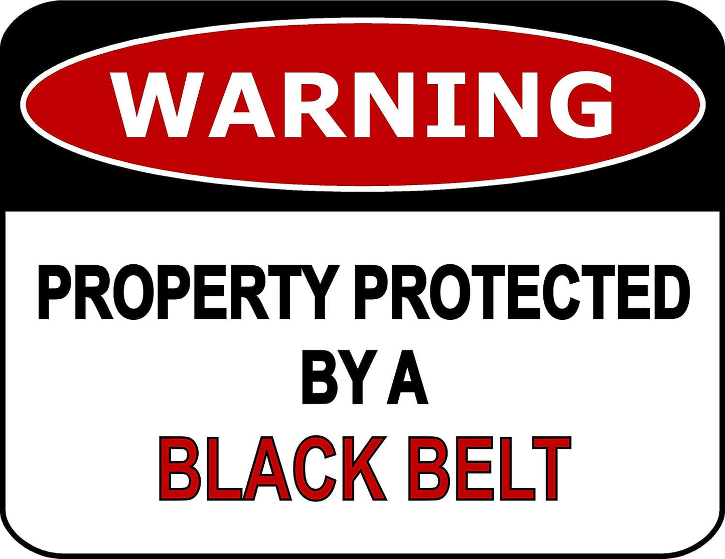 Warning Property Protected By A Black Belt 11.5" x 9" Laminated Funny Sign
