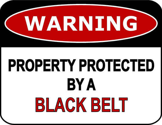Warning Property Protected By A Black Belt 11.5" x 9" Laminated Funny Sign