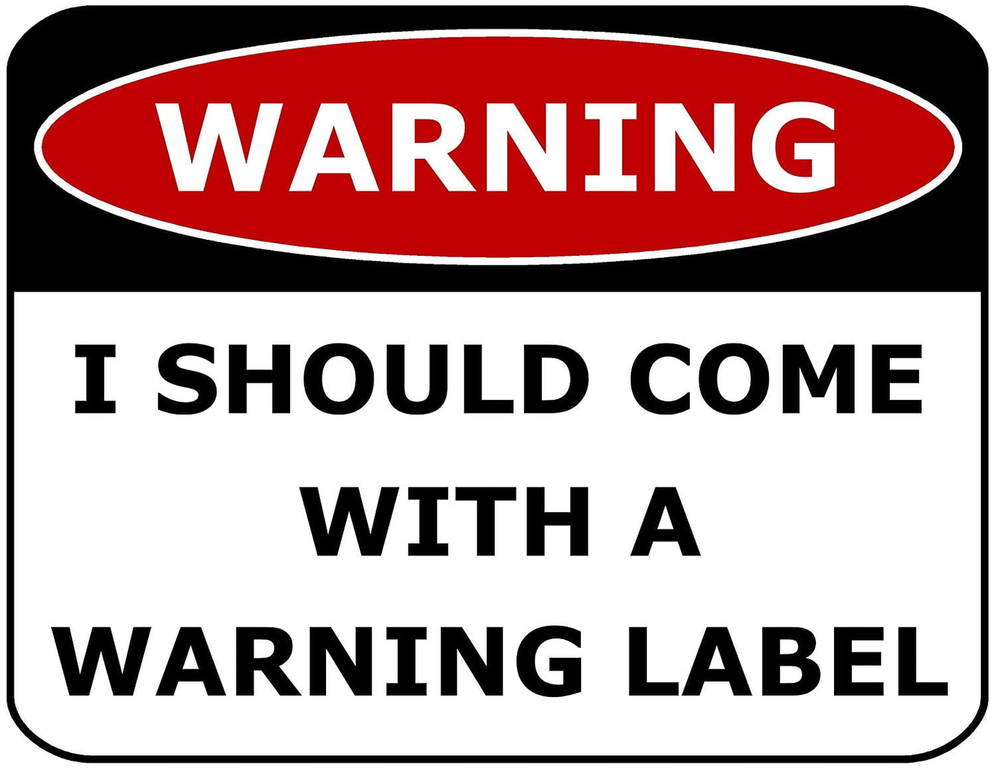 Warning I Should Come with a Warning Label 11.5 inch by 9 inch Laminated Funny Sign