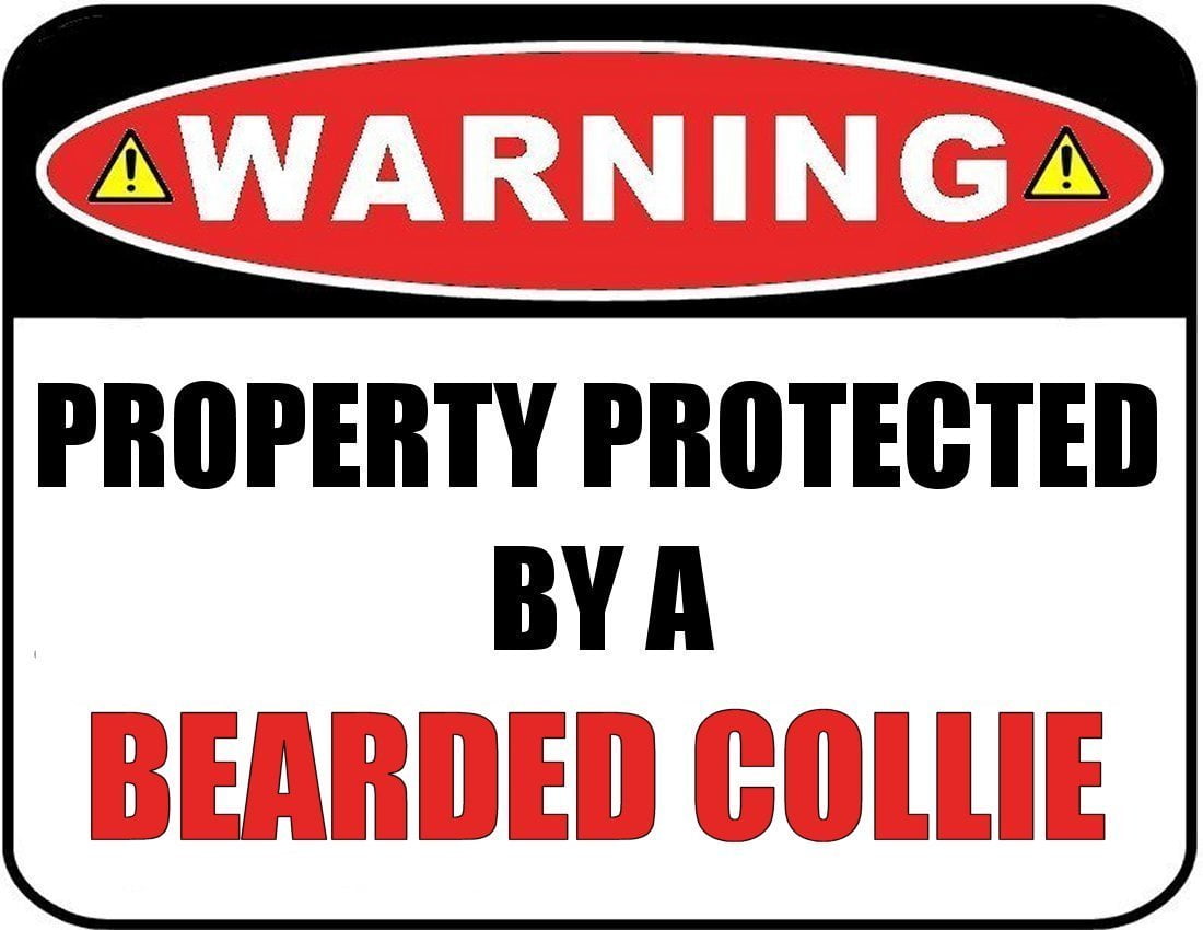 Funny Bearded Collie Dog Sign – Laminated 11.5″ x 9″ Wall Decor