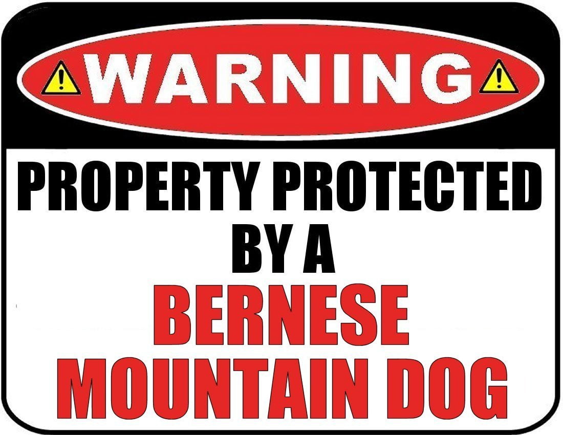 Warning Property Protected by a Bernese Mountain Dog 9 inch x 11.5 inch Laminated Dog Sign