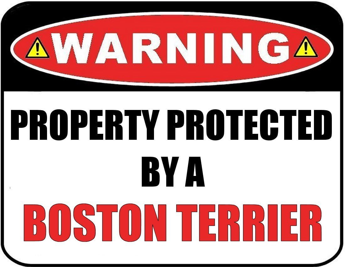 Warning Property Protected by a Boston Terrier 9 inch x 11.5 inch Laminated Dog Sign