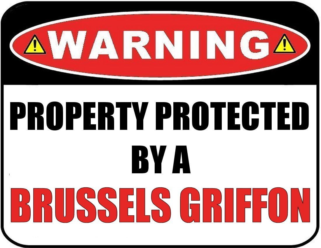 Warning Property Protected by a Brussels Griffon 9 inch x 11.5 inch Laminated Dog Sign