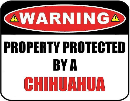 Warning Property Protected by a Chihuahua 9 inch x 11.5 inch Laminated Dog Sign