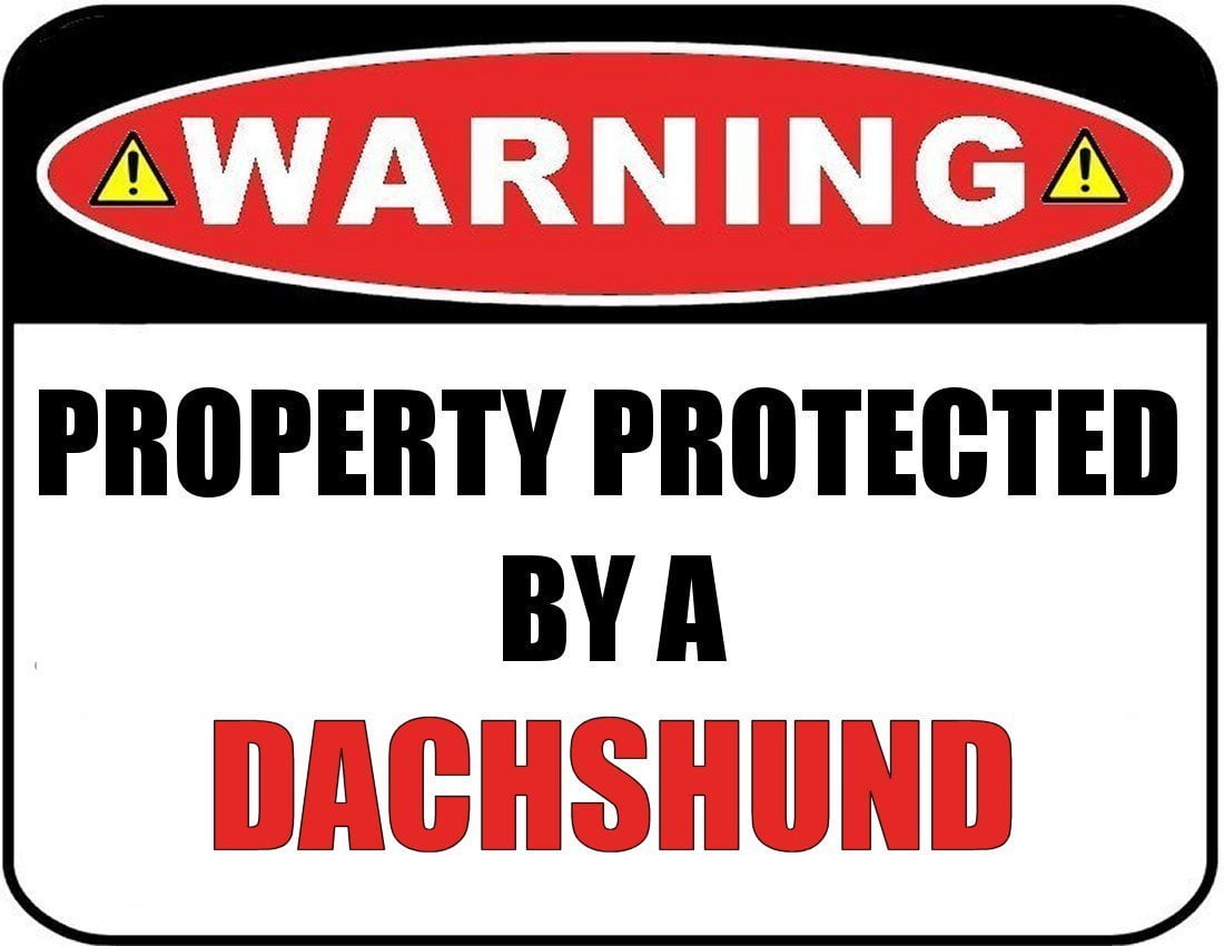 Warning Property Protected by a Dachshund 9 inch x 11.5 inch Laminated Dog Sign