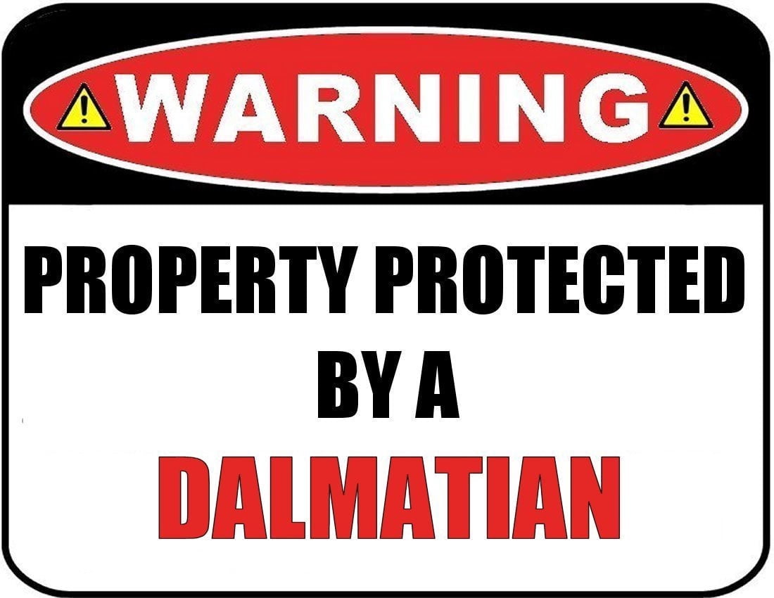 Funny Dalmatian Dog Sign Laminated 11.5³ x 9³ Wall Decor