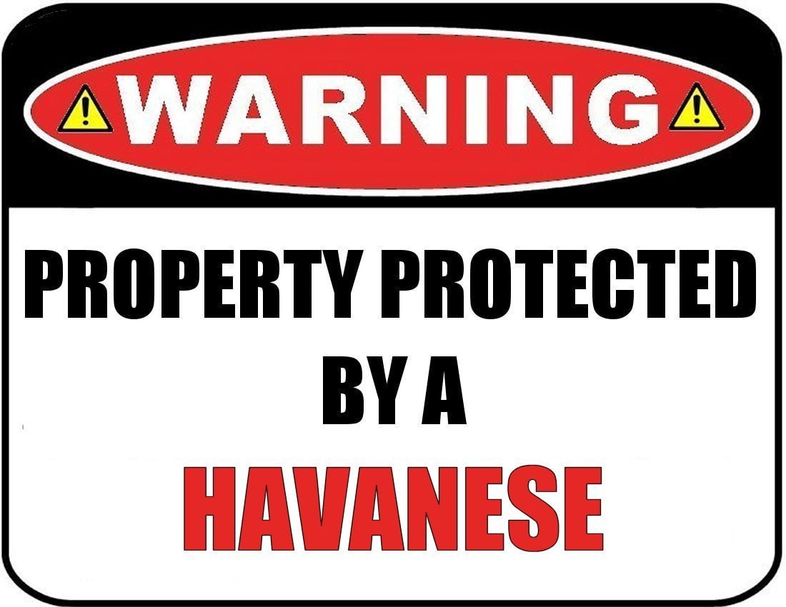 Warning Property Protected by a Havanese 9 inch x 11.5 inch Laminated Dog Sign