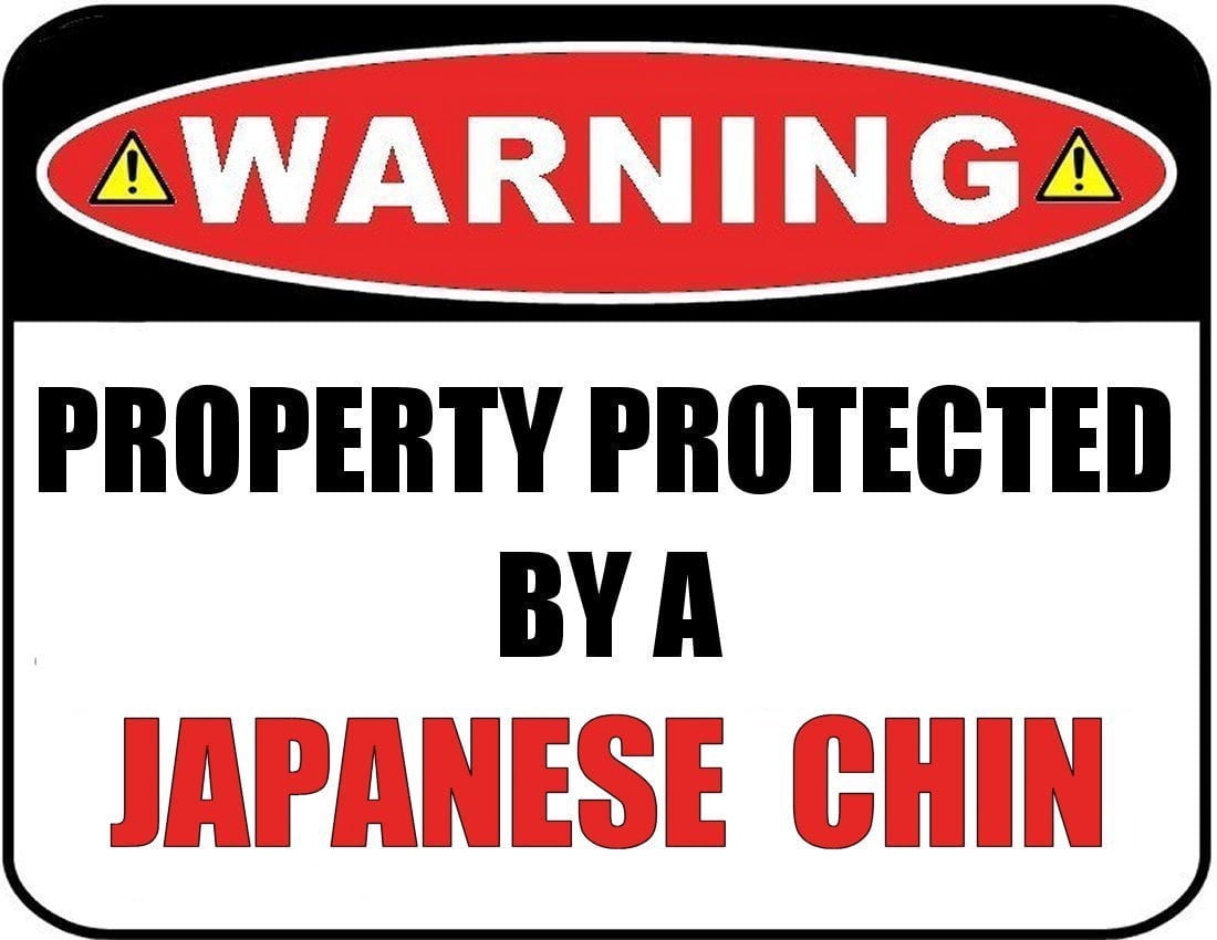 Funny Japanese Chin Dog Sign – Laminated 11.5″ x 9″ Wall Decor