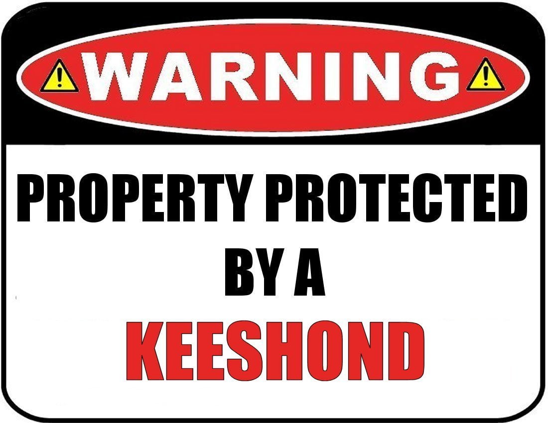 Warning Property Protected by a Keeshond 9 inch x 11.5 inch Laminated Dog Sign