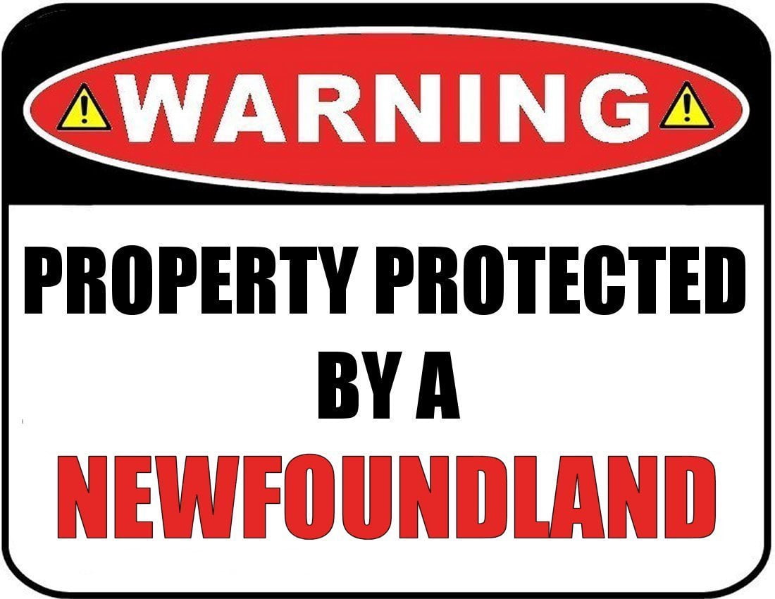 Warning Property Protected by a Newfoundland 9 inch x 11.5 inch Laminated Dog Sign