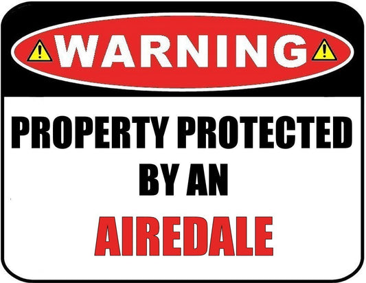 Warning Property Protected by a Papillon 9 inch x 11.5 inch Laminated Dog Sign