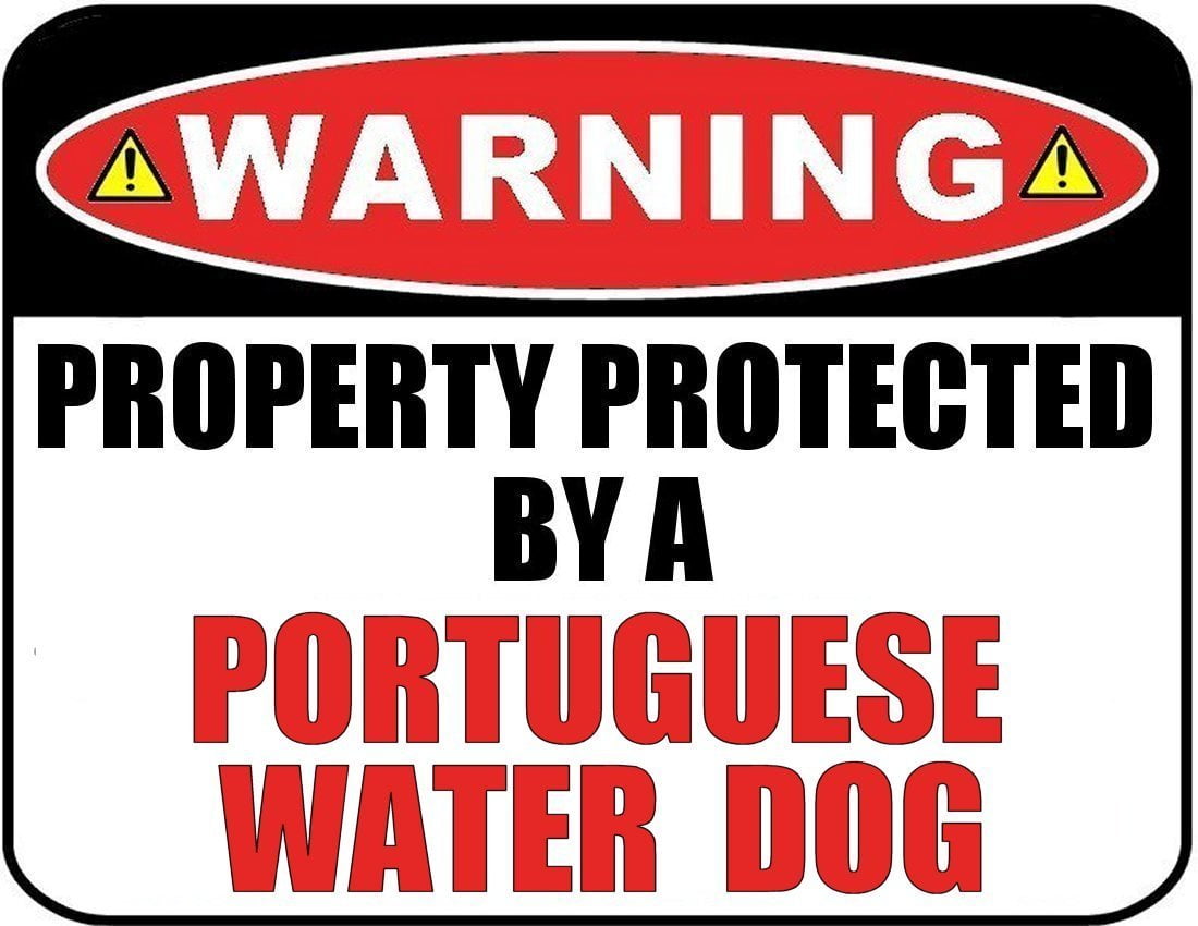 Warning Property Protected by a Portuguese Water Dog 9 inch x 11.5 inch Laminated Dog Sign