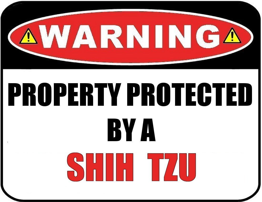 Warning Property Protected by a Shih Tzu 9 inch x 11.5 inch Laminated Dog Sign